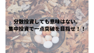 分散投資しても意味はない。集中投資で一点突破を目指せ!!